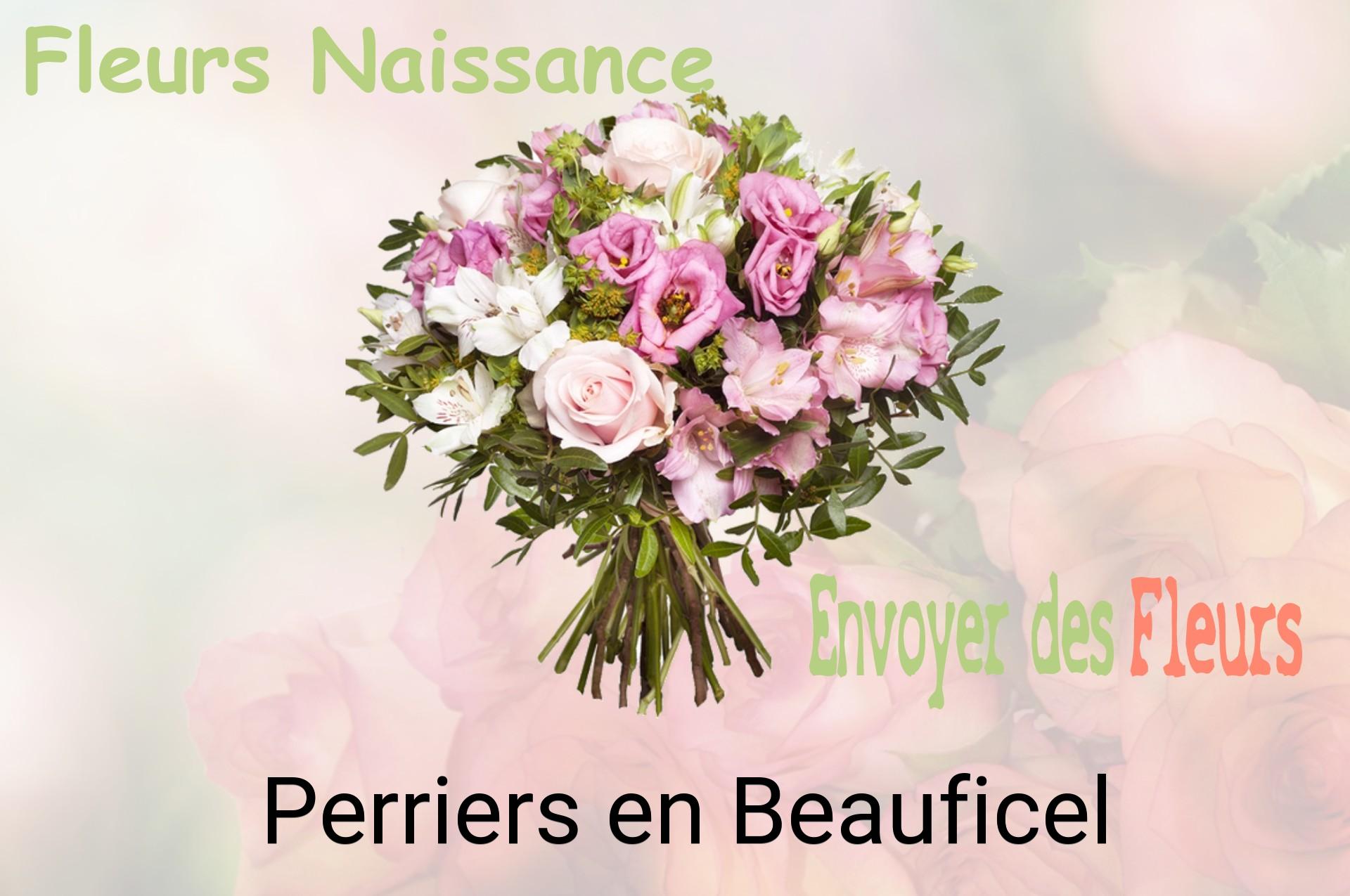 Bouquet de fleurs de naissance livré à Perriers-en-Beauficel